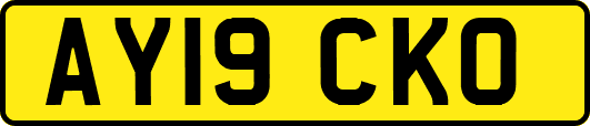 AY19CKO