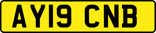 AY19CNB