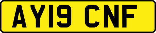 AY19CNF