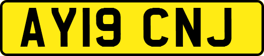 AY19CNJ