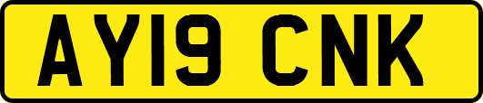 AY19CNK