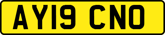 AY19CNO
