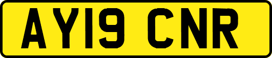 AY19CNR
