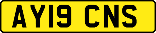 AY19CNS