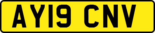 AY19CNV