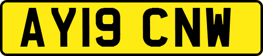 AY19CNW