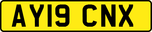 AY19CNX