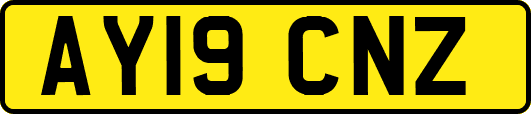 AY19CNZ
