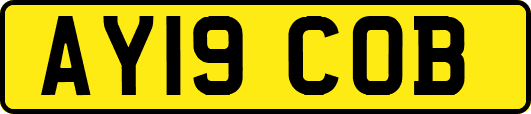 AY19COB