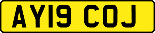 AY19COJ
