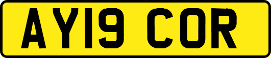 AY19COR