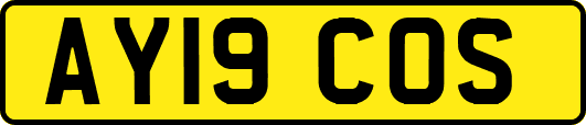 AY19COS