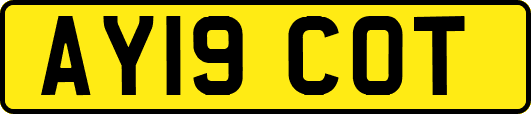 AY19COT