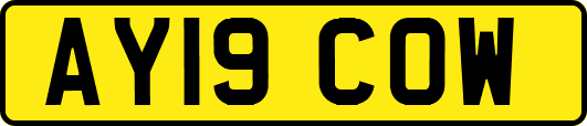 AY19COW