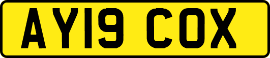 AY19COX