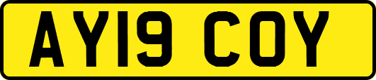AY19COY