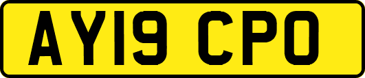 AY19CPO