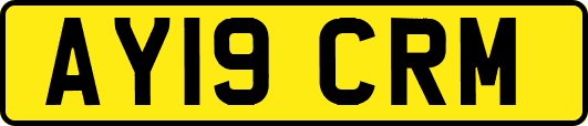 AY19CRM