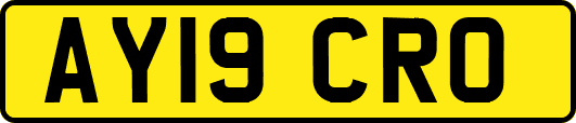 AY19CRO