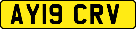 AY19CRV