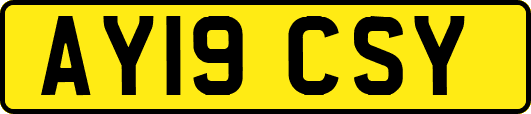 AY19CSY