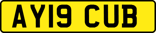 AY19CUB