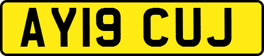 AY19CUJ