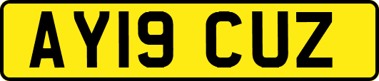 AY19CUZ