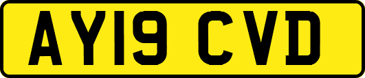 AY19CVD