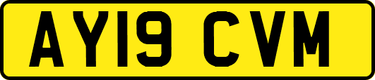 AY19CVM