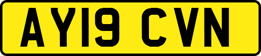 AY19CVN