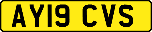 AY19CVS