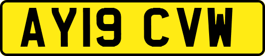 AY19CVW