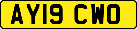 AY19CWO