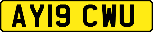 AY19CWU