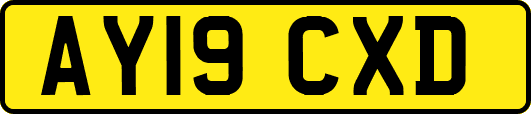 AY19CXD