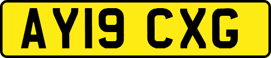 AY19CXG