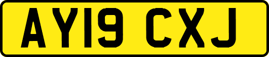 AY19CXJ
