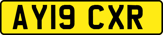 AY19CXR