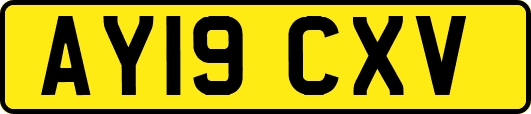 AY19CXV
