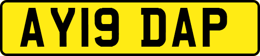 AY19DAP