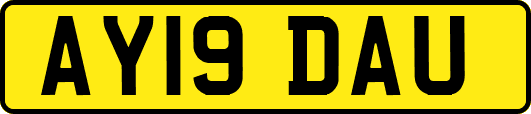 AY19DAU
