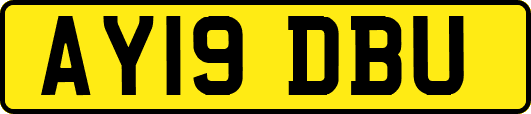 AY19DBU