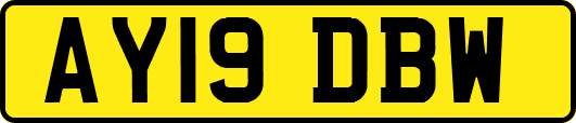 AY19DBW
