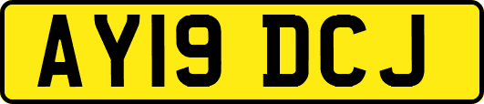 AY19DCJ