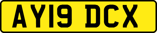 AY19DCX