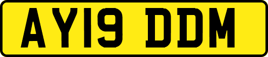 AY19DDM