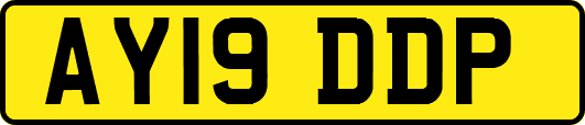 AY19DDP