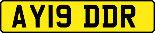 AY19DDR