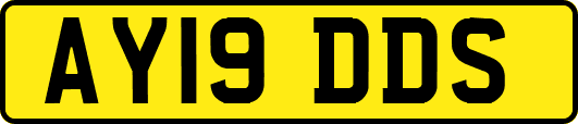 AY19DDS
